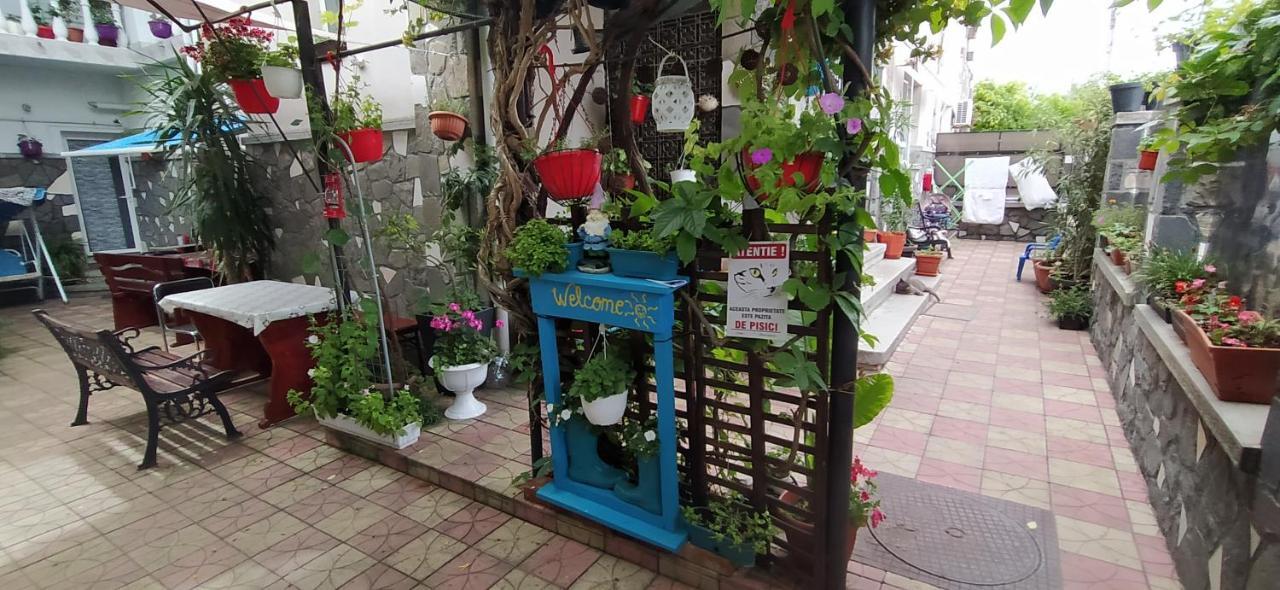 Vila Traian Si Teodora คอสติเนช ภายนอก รูปภาพ