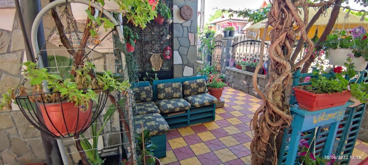 Vila Traian Si Teodora คอสติเนช ภายนอก รูปภาพ