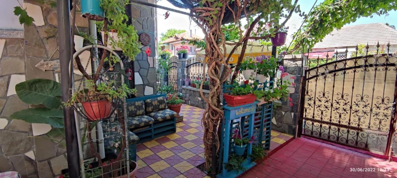 Vila Traian Si Teodora คอสติเนช ภายนอก รูปภาพ